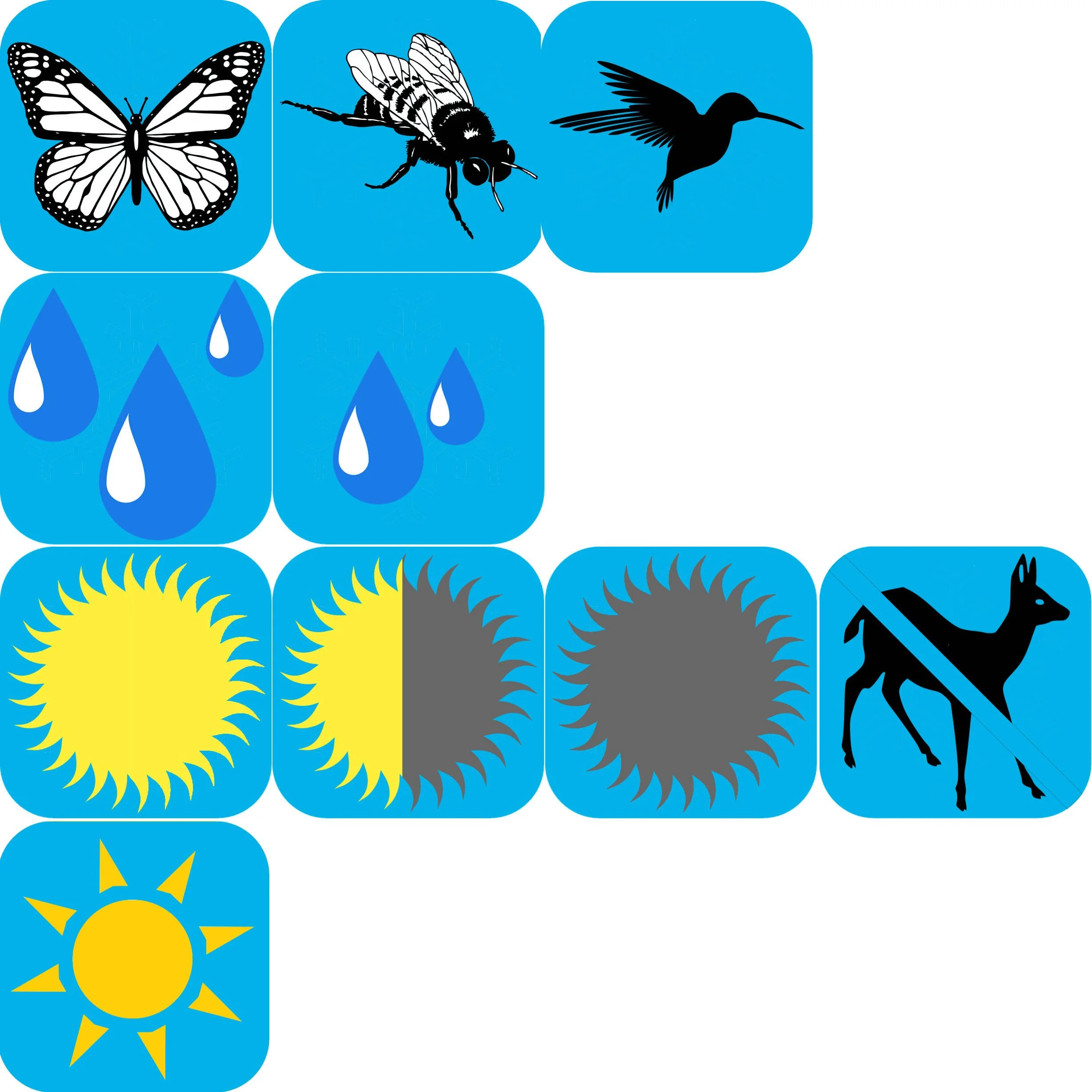 calico beardtongue.jpg