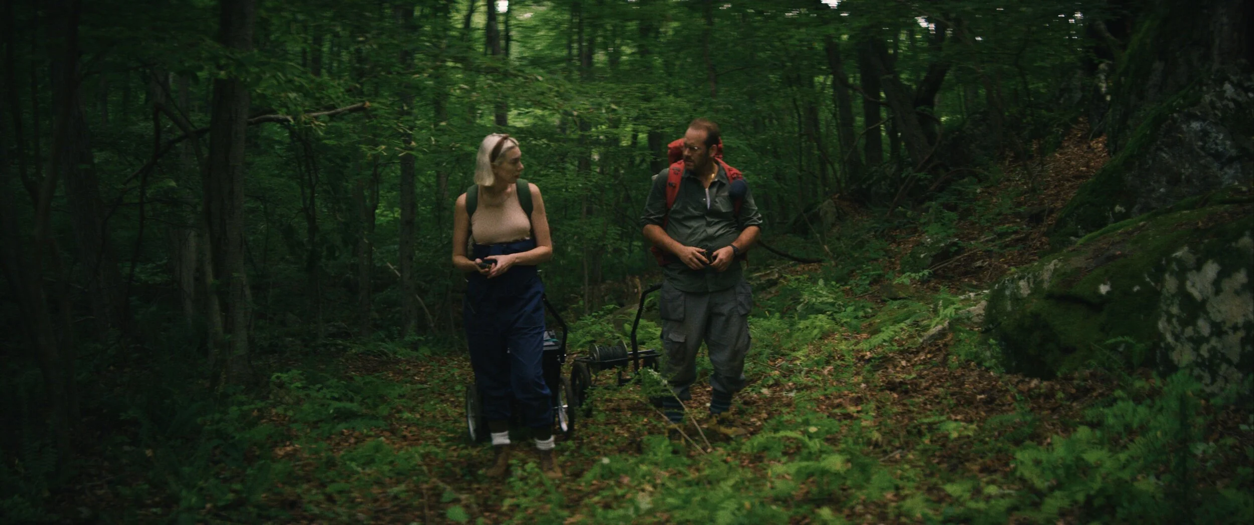    LAPSIS, Couple 3   (feature)