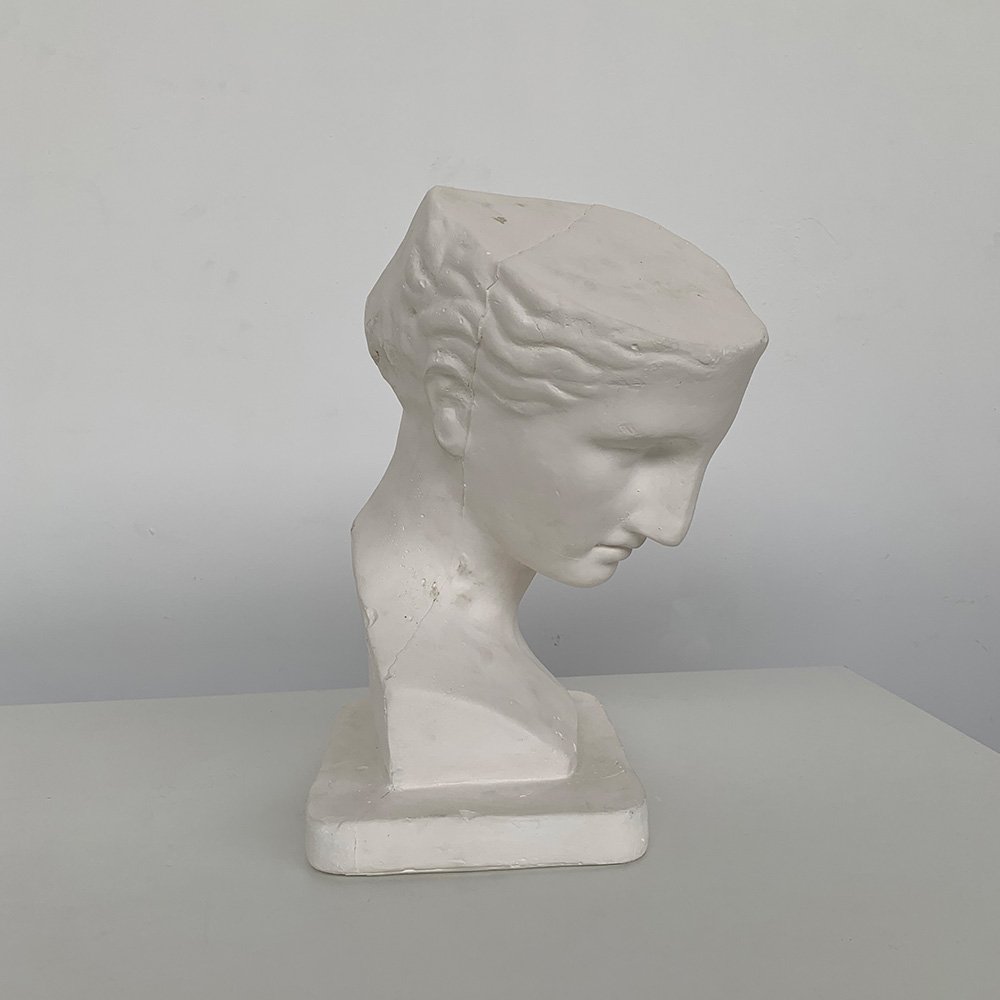 Plaster Bust jpg.jpg