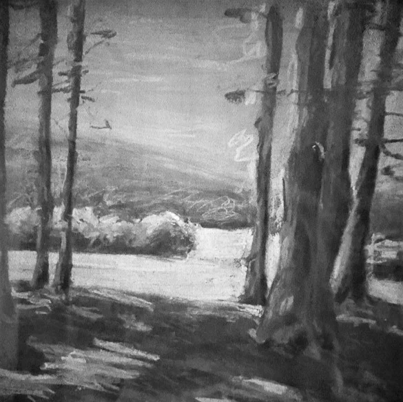 Forest Through The Trees