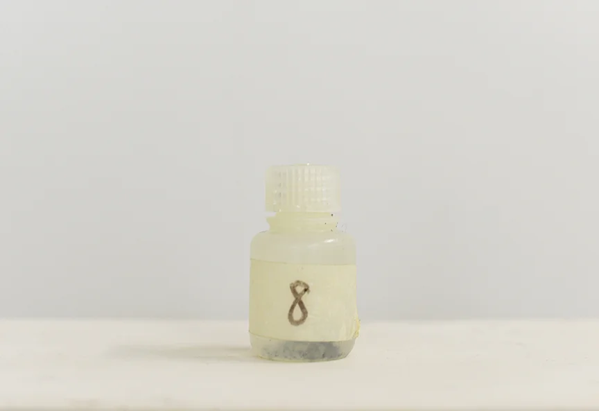 Melted Sea Ice LR.jpg