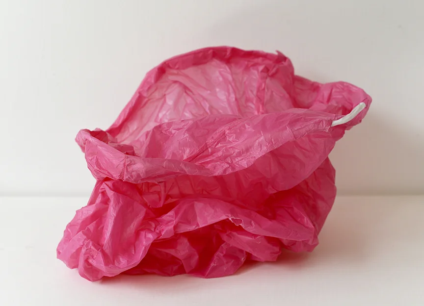 Plastic Bag LR.jpg
