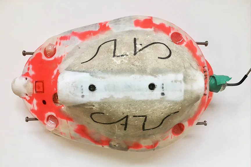 Whale Tag LR copy.jpg