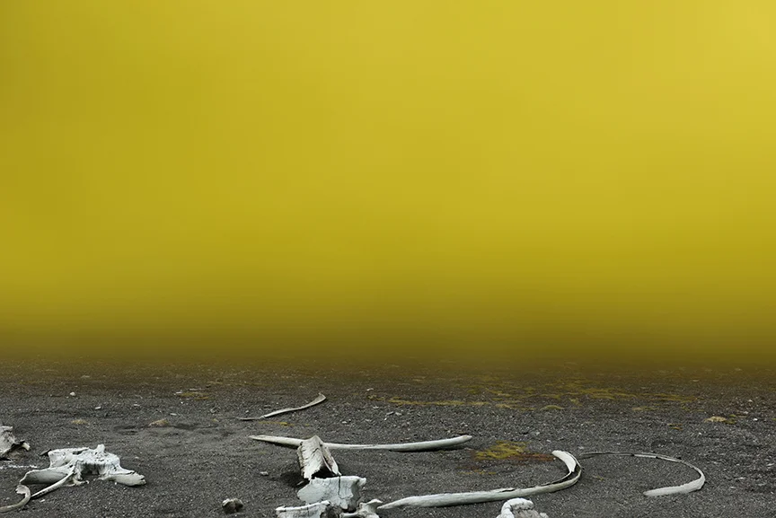 Loss of Profits Due to Scarcity, 2018