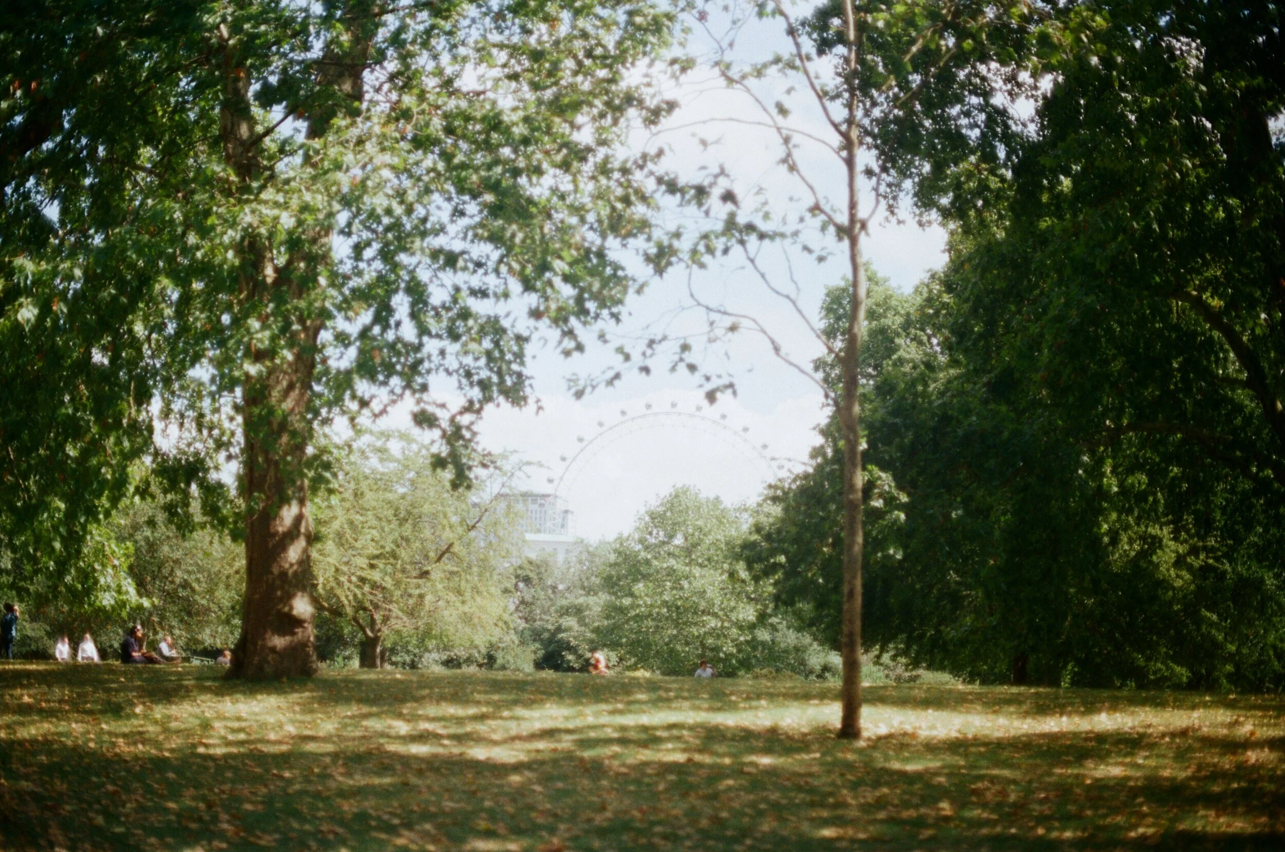 139222010009.jpg