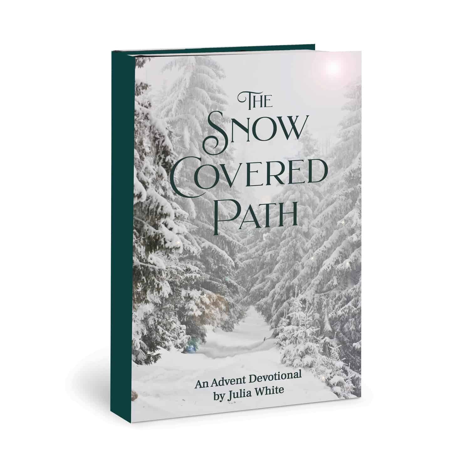 Case Study - Book Cover Design