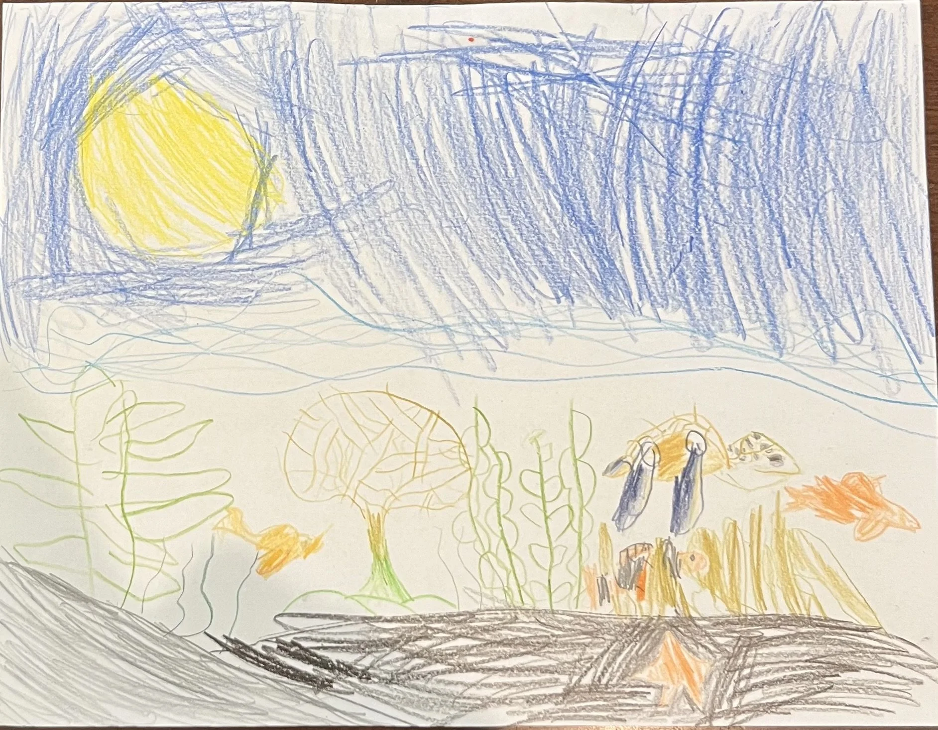 Daxton Weiglein, Age 7