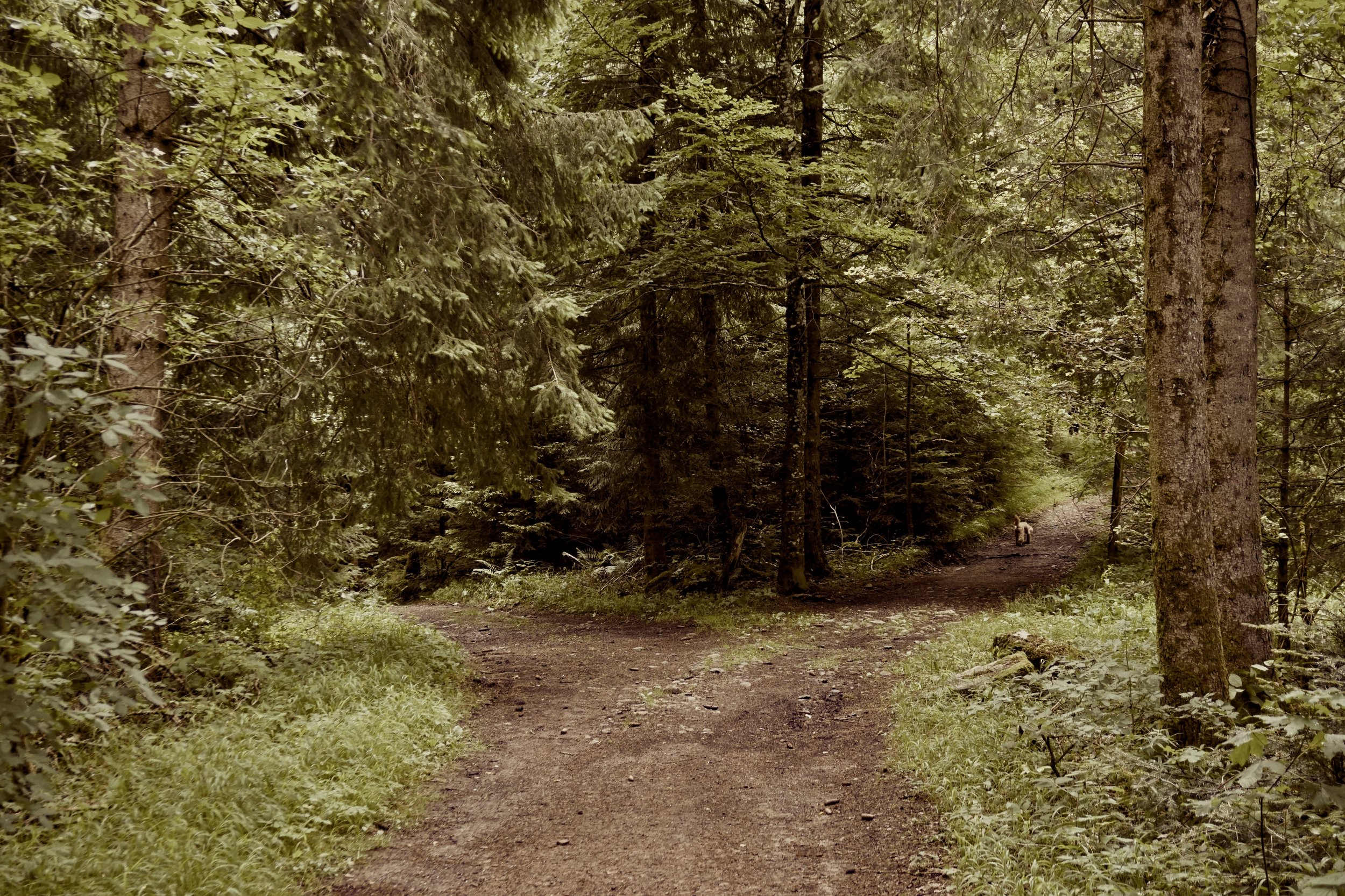 Any Road Will Do?