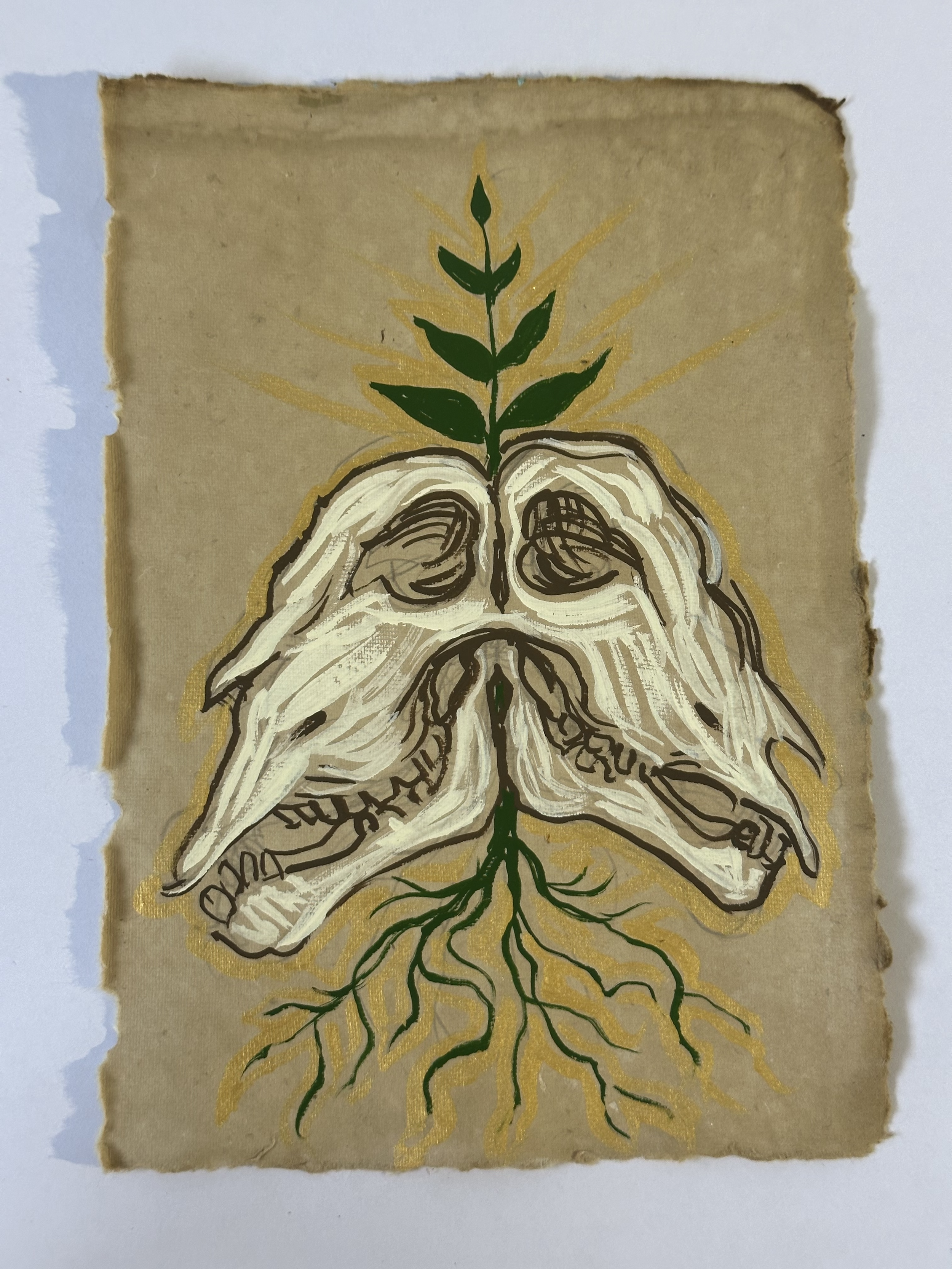 Animal Skull.png
