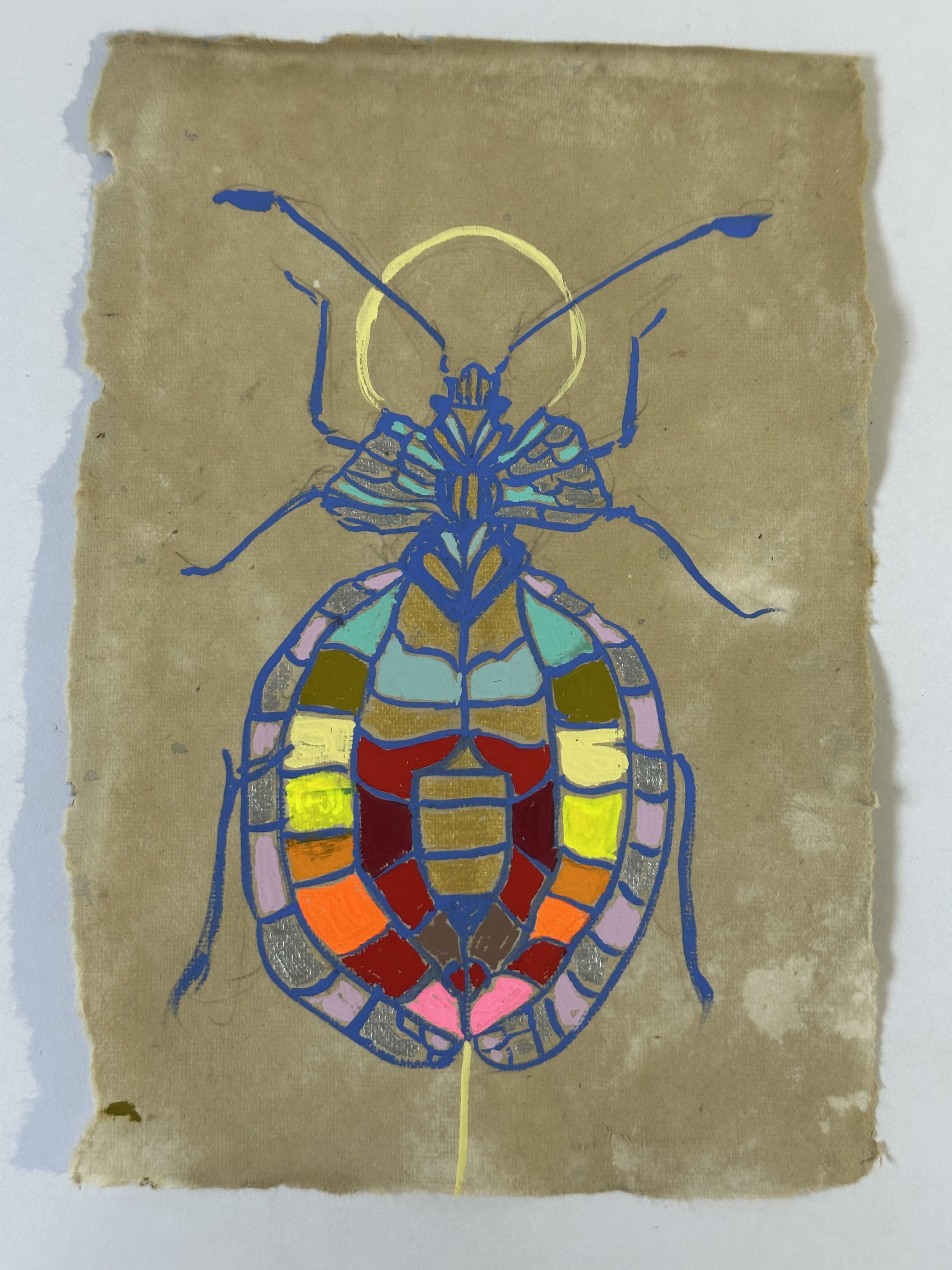 Colorful Insect.png