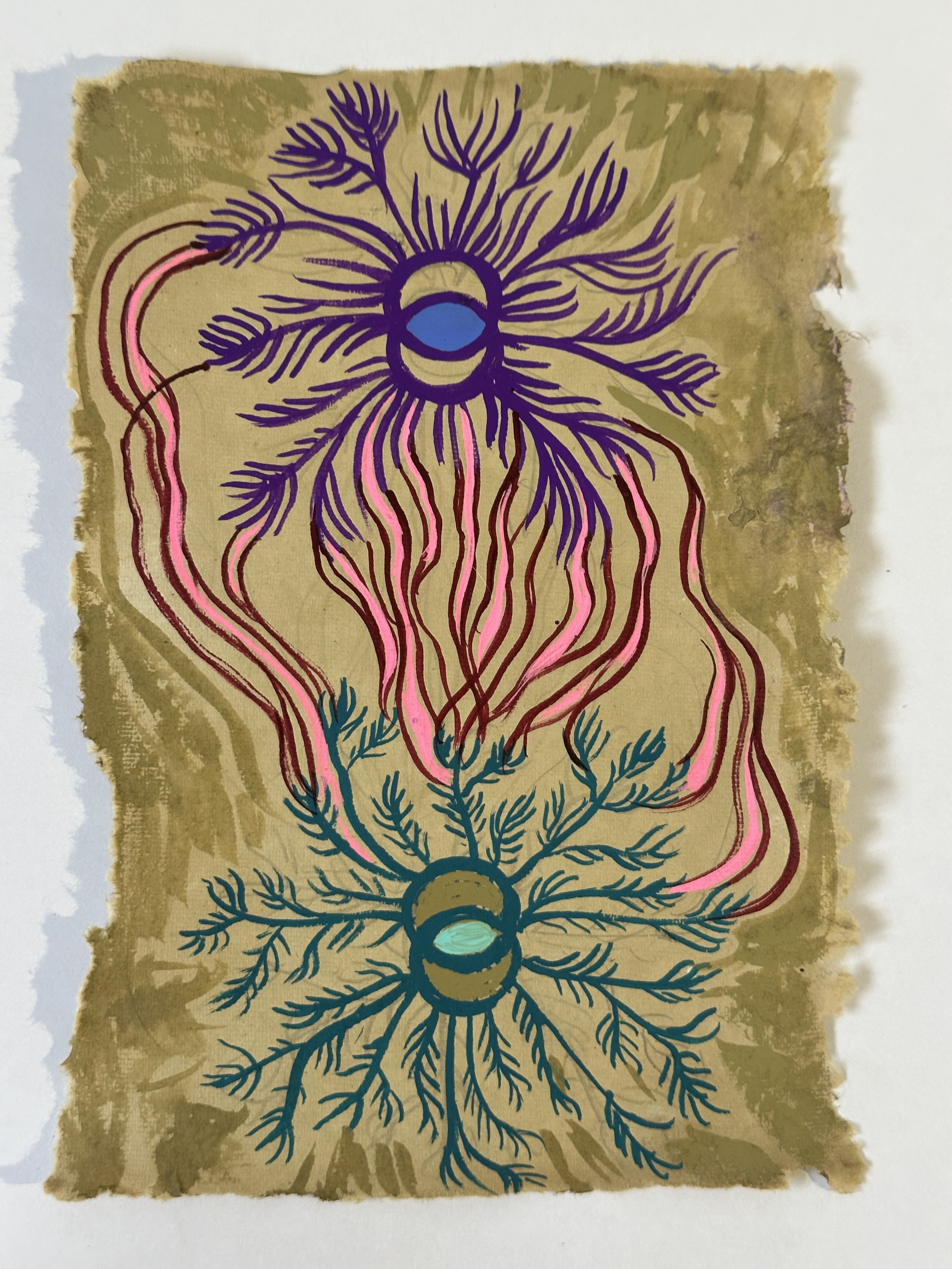 Feather Amoebas.png