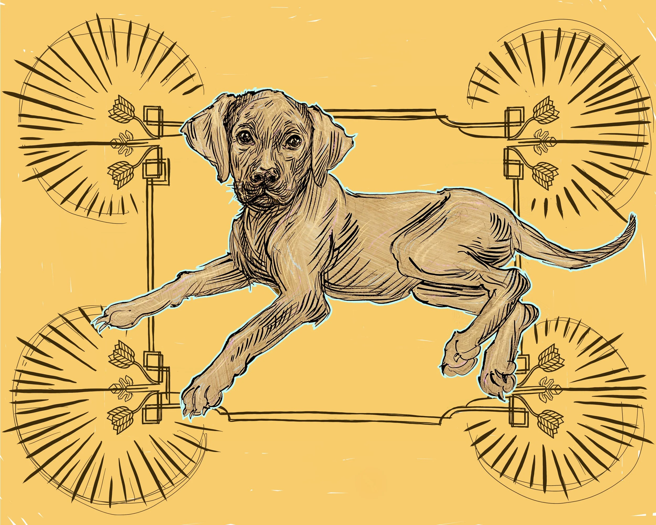 Lena Yellow Frame.jpg