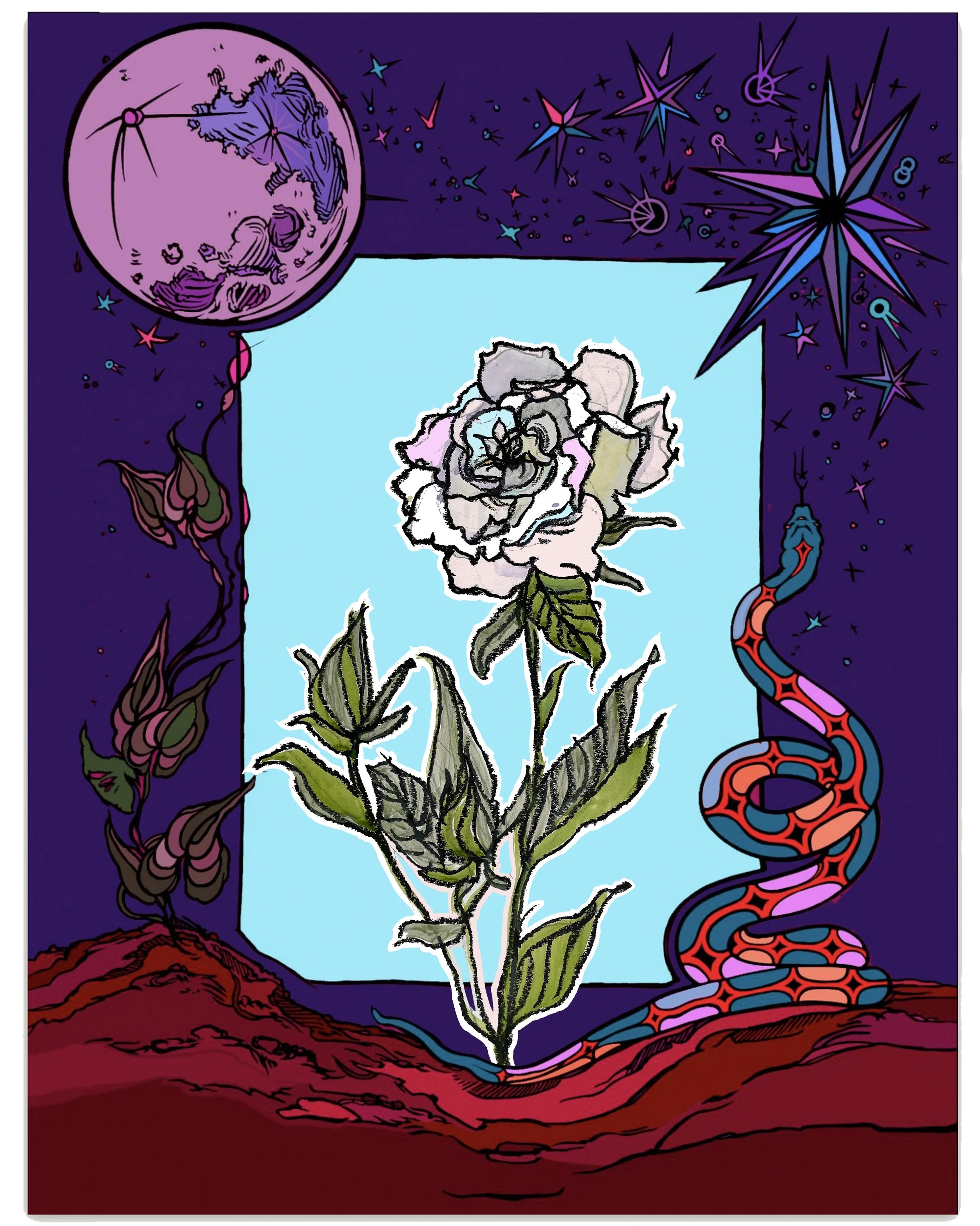 Gardenia 4 sisters purples.jpg