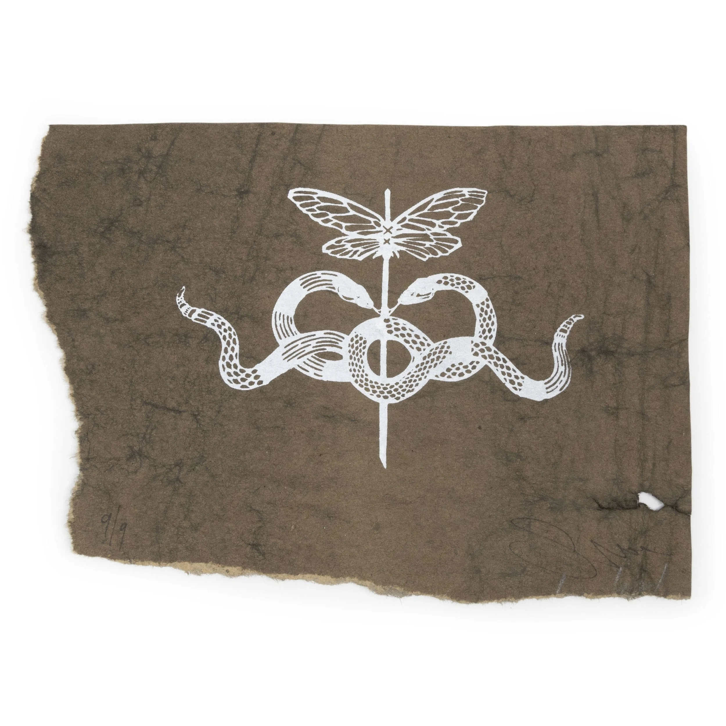 1422_I Caduceus_screenprints_dyedpaper_9_SQ .jpg