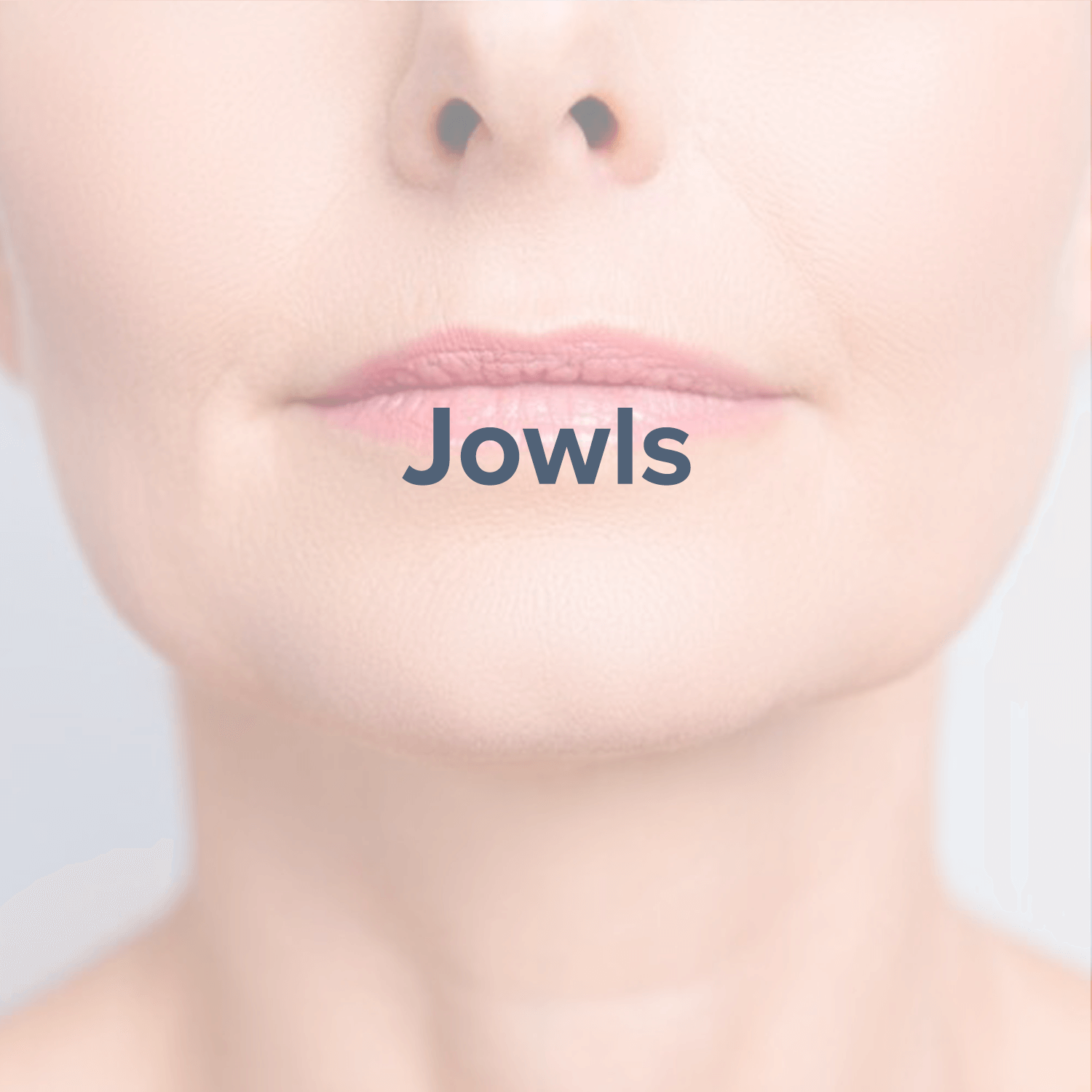 jowls.png
