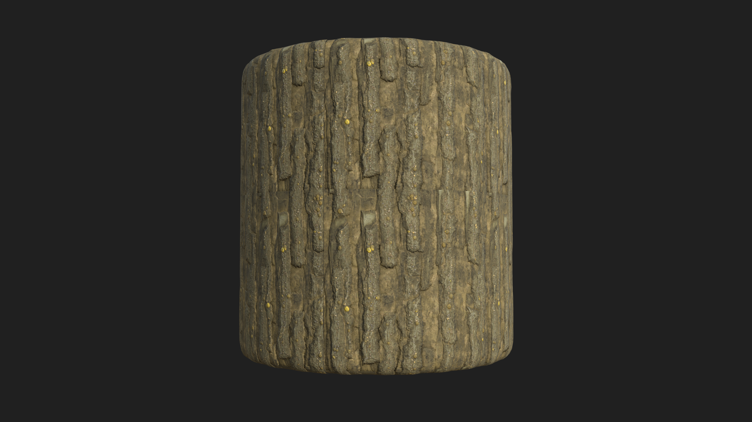 Tree Bark.png
