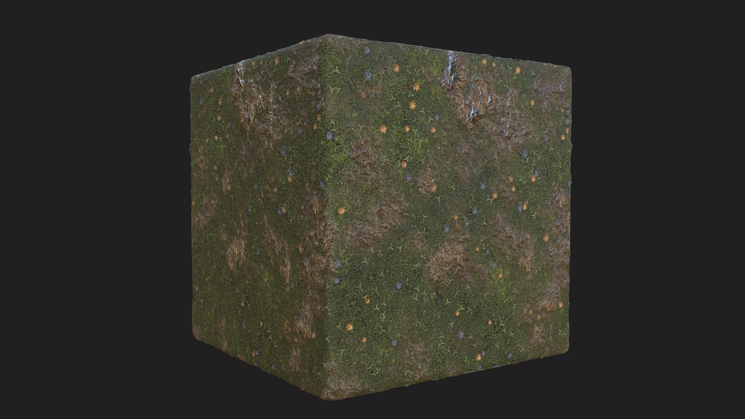 Mud Grass Tex.png