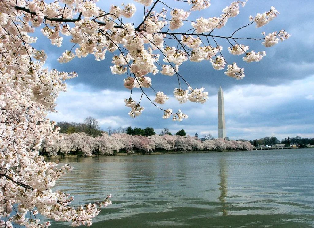 Tidal Basin.jpg