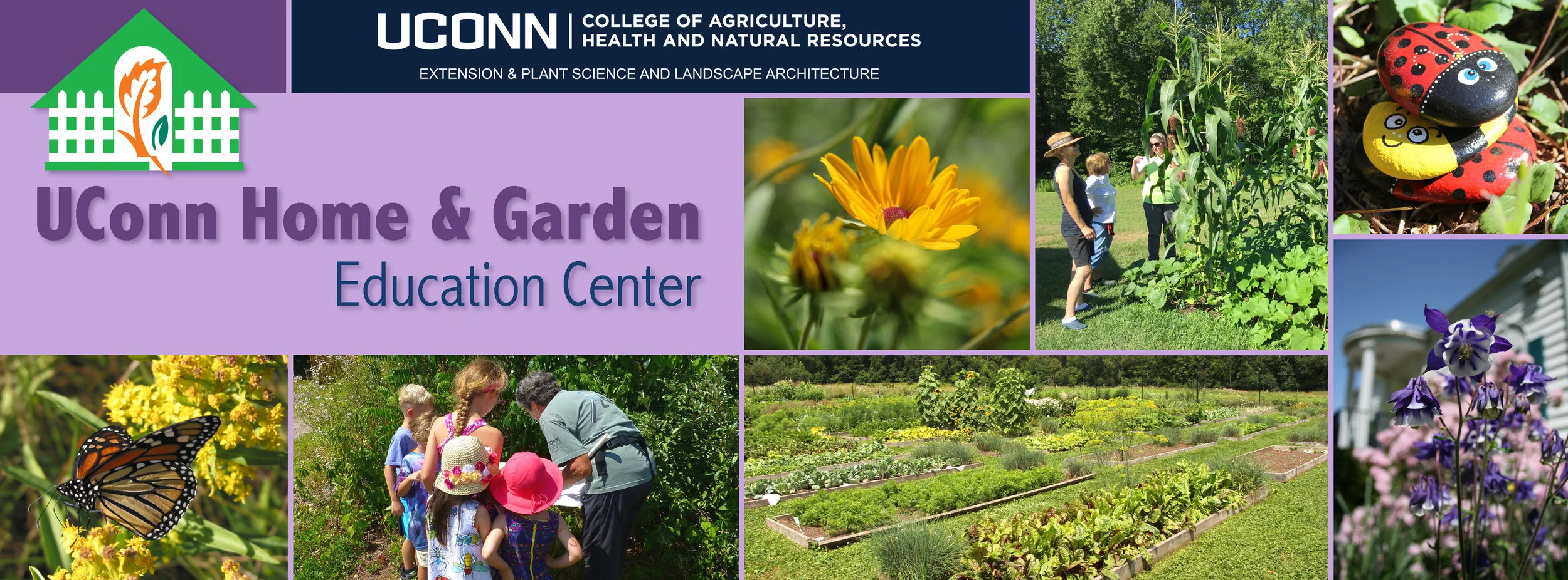 UConn Home and Garden Extension.jpeg