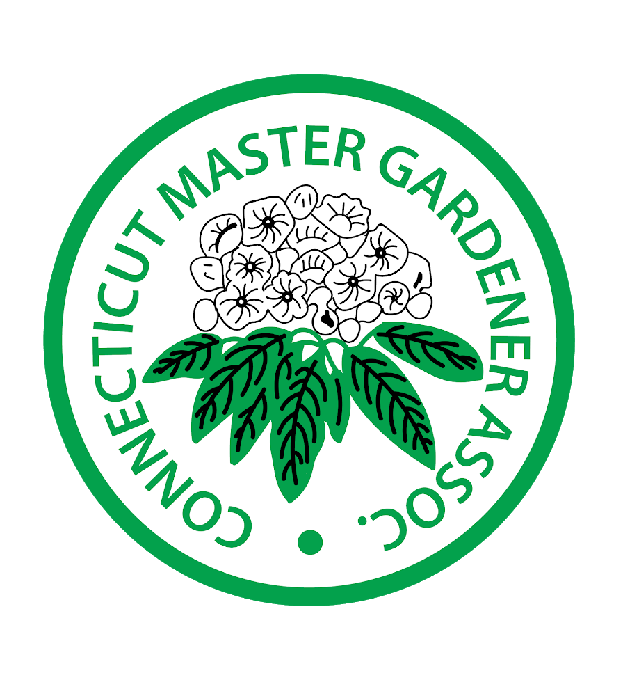 CMGA
