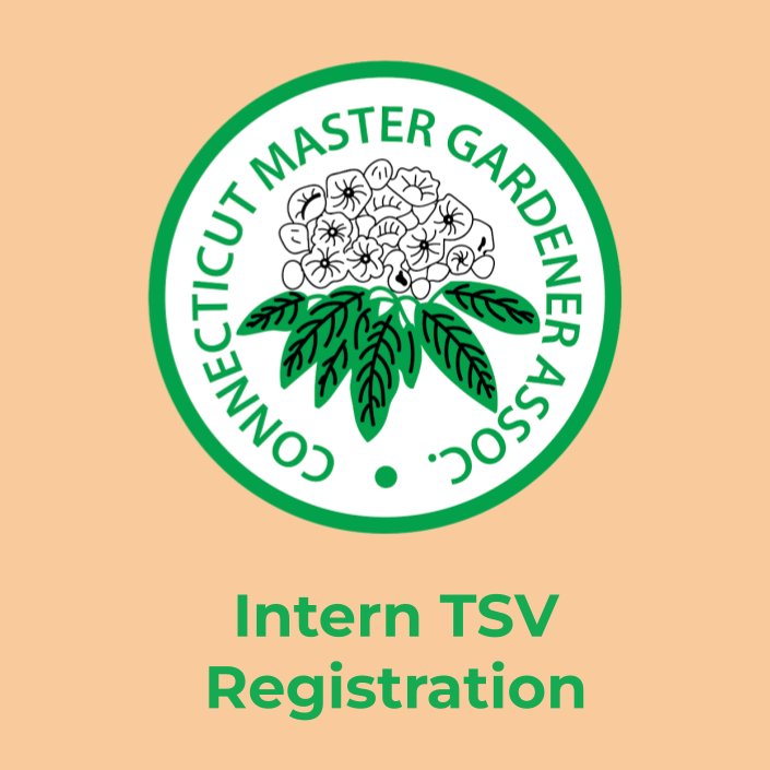 22_intern_tour TSV.png