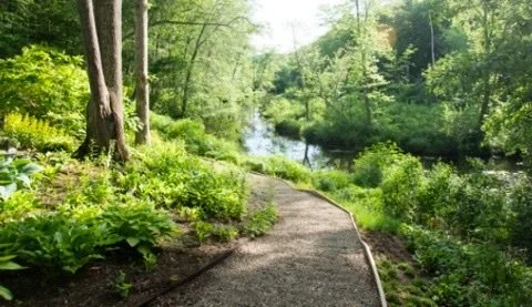 CMGA Virtual Semi-Annual Meeting 