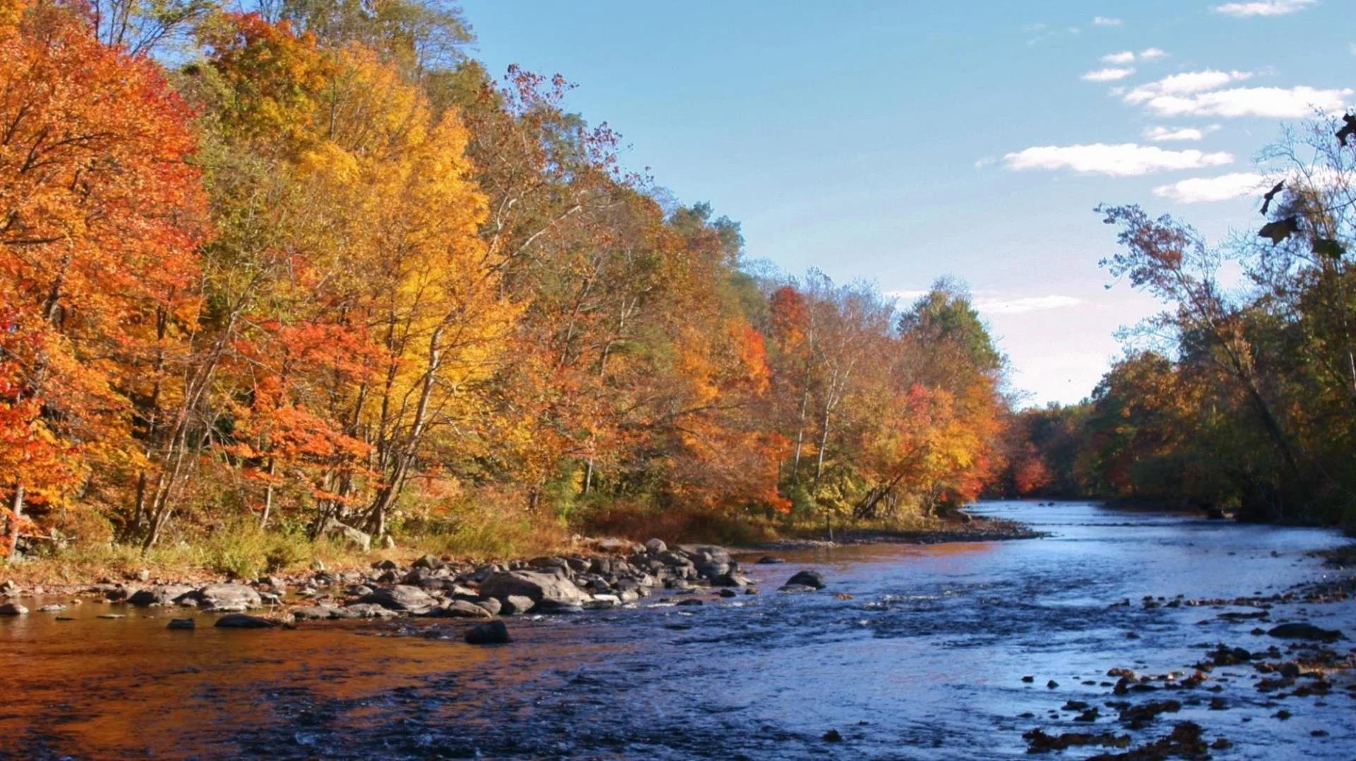 John Cudworth-1.jpeg