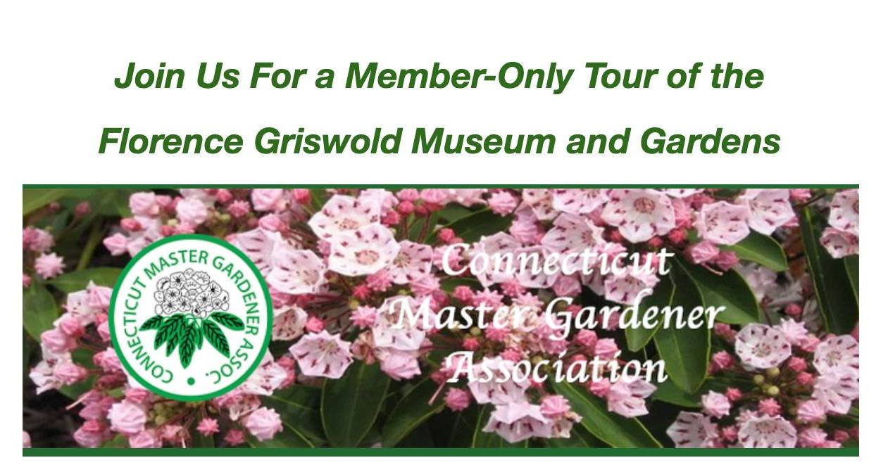 Join us for a Member-Only Tour of the Florence Griswold Museum and Gardens.
Where: Florence Griswold House, 96 Lyme St., Old Lyme
When: Wed. July 16, beginning at 10:30 AM
The cost of $17, payable at the door, includes parking, a self-tour of the mus