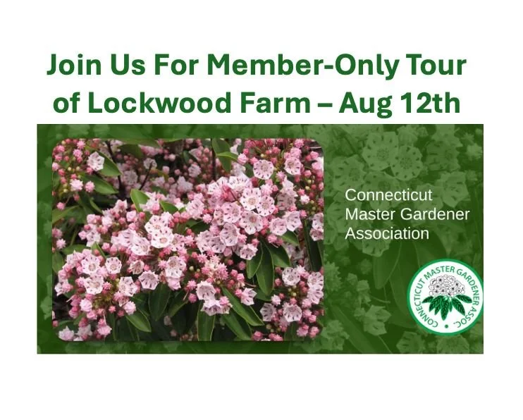 Join CMGA For Member-Only Tour of Lockwood Farm on Tuesday August 12, beginning at 11:00 AM. The event is free. Registration is limited to 30.
Lockwood Farm, which was purchased in 1910, is named after William Raymond Lockwood, a Norwalk resident who