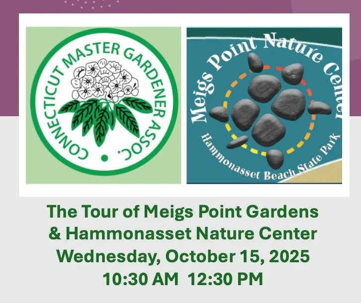 🌿 CMGA Members-Only Tour of Meigs Point! 🌿
No visit to Hammonasset Beach State Park is complete without exploring the stunning gardens at Meigs Point and the Nature Center. Originally planted in the mid-1990s by the Madison Garden Club, these garde