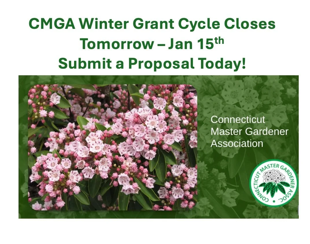 ⏰ Don&rsquo;t miss out!
The 2026 CMGA Winter Grant Cycle wraps up tomorrow (Jan 15)

Awards up to $500
Open to certified UConn Master Gardeners, Interns, Lifetime Members &amp; Extension Coordinators

📣 Winners announced mid-February!
Visit the CMGA
