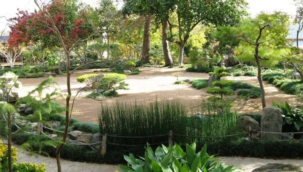 Virtual Presentation - An informative and fun lecture