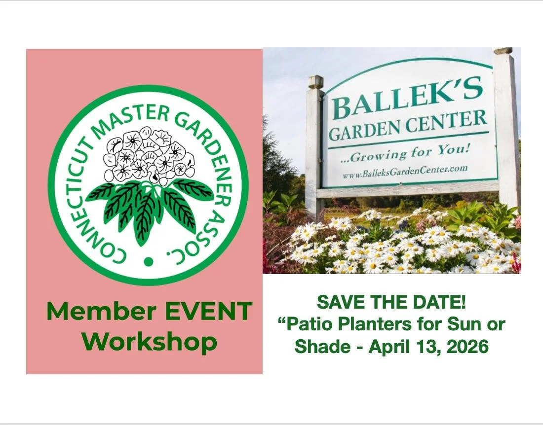 🌸🌿 Ballek&rsquo;s Demonstration &amp; Workshop: &ldquo;Patio Planters for Sun or Shade&rdquo; 🌿🌸 April 13, 2026 10:30 AM &ndash; 12:30 PM

Join Nancy Ballek McKinnon, owner of Ballek's Garden Center, for a live demonstration followed by an intera