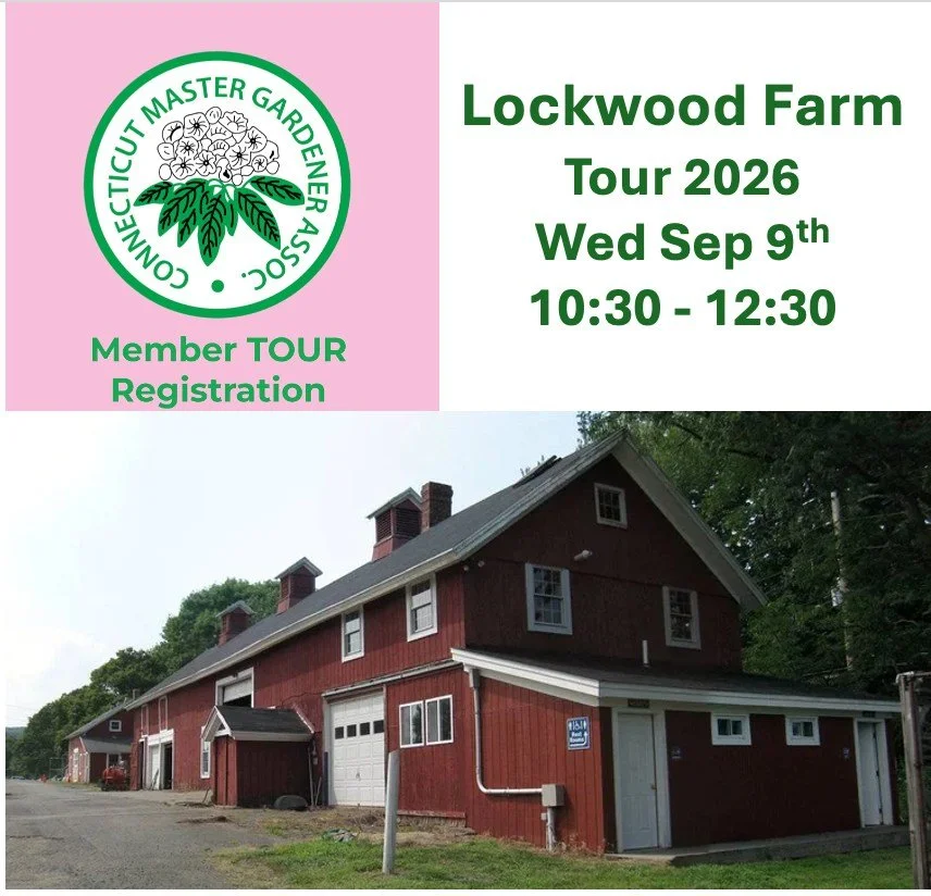 CMGA Member Tour: Lockwood Farm 🌱🌾

Step behind the scenes at one of Connecticut&rsquo;s most important agricultural research sites!

Join CMGA for a special Member Tour of Lockwood Farm, home to more than a century of agricultural science, researc