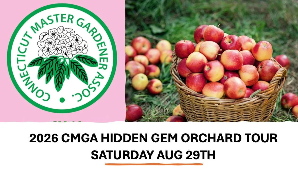 Join CMGA on August 29 for a special tour of Hidden Gem Orchard, a remarkable 6-acre orchard with 3,600 apple trees and 32 varieties&mdash;including familiar favorites like Honeycrisp, McIntosh, Gala and Cortland, along with rare and historic varieti
