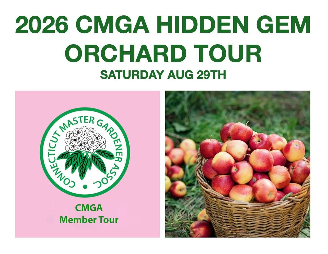 🍎🌿 Discover a Hidden Gem in Connecticut! 🌿🍎

Join the Connecticut Master Gardener Association for a special Hidden Gem Orchard Tour 2026 and explore the beauty, history, and diversity of this remarkable orchard.

📅 Saturday, August 29, 2026
🕥 1