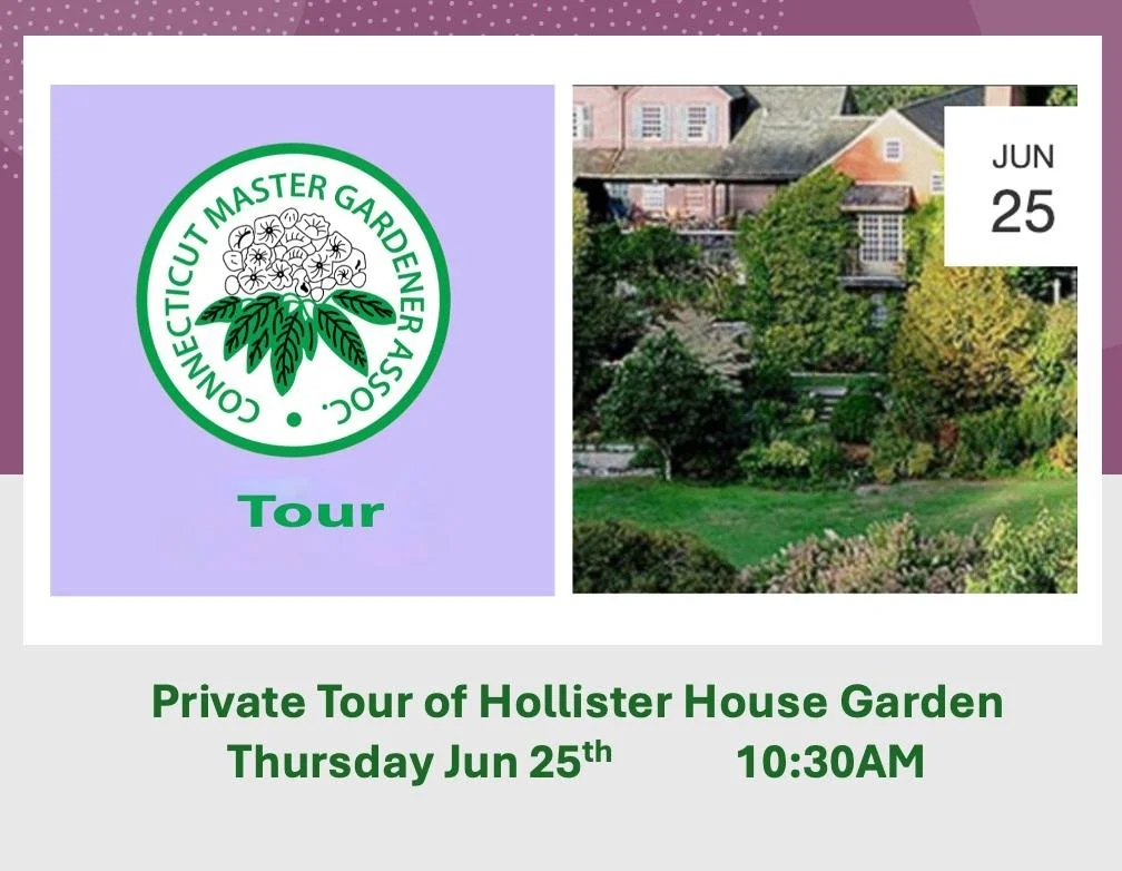 Join us for a Private Tour of Hollister House Garden, led by renowned garden designer George Schoellkopf. Nestled in the beautiful Litchfield Hills of northwestern Connecticut, this extraordinary garden blends classic English garden design with abund