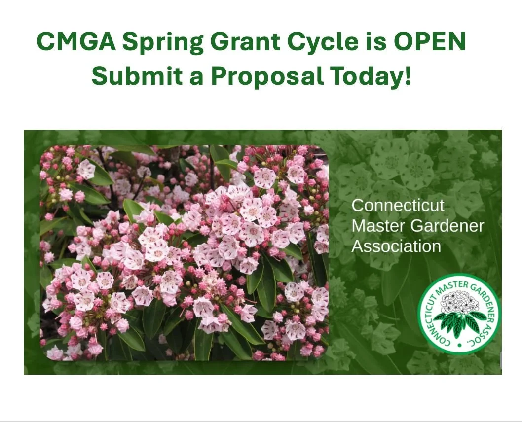 🌱 The Spring Grant Cycle is OPEN! 🌱 Have a project in mind? Now&rsquo;s the time to bring it to life with support from CMGA!

Be sure to review the updated application criteria before applying:
🔗 https://ctmga.org/general-grant-information

✨ Who 