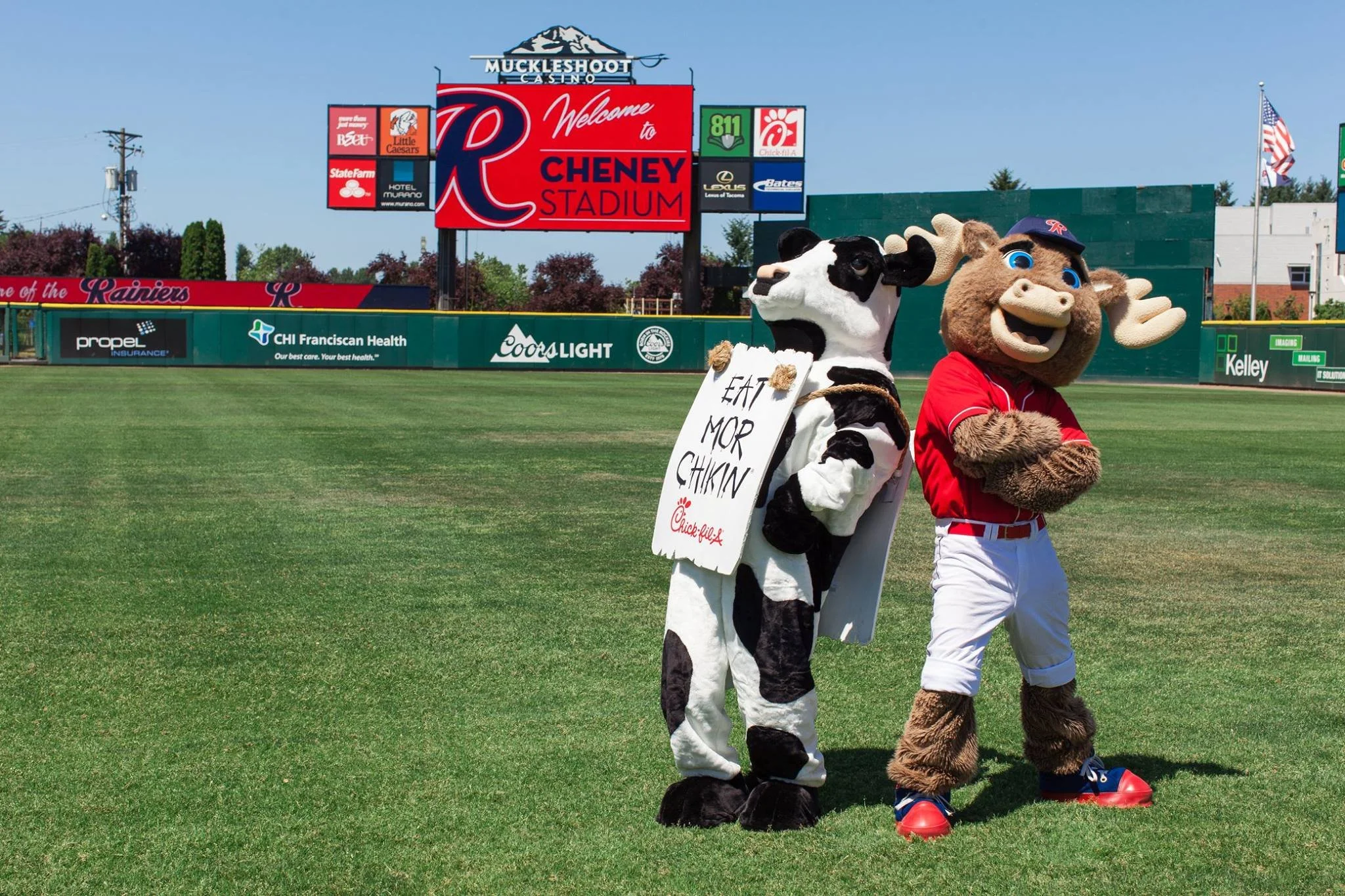 Cow at the Tacoma Rainiers Game 