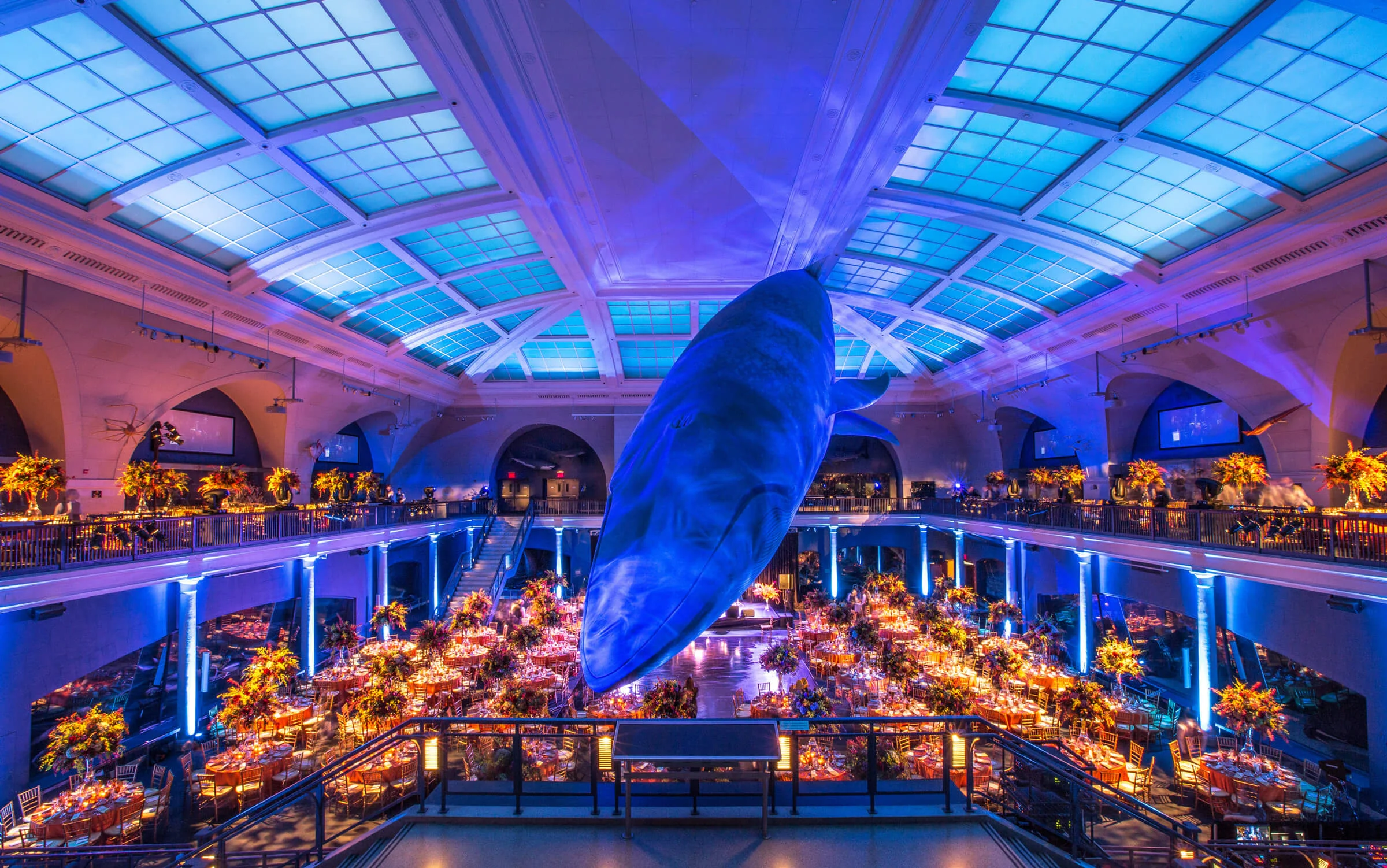 AMNH-Gala-3.jpg
