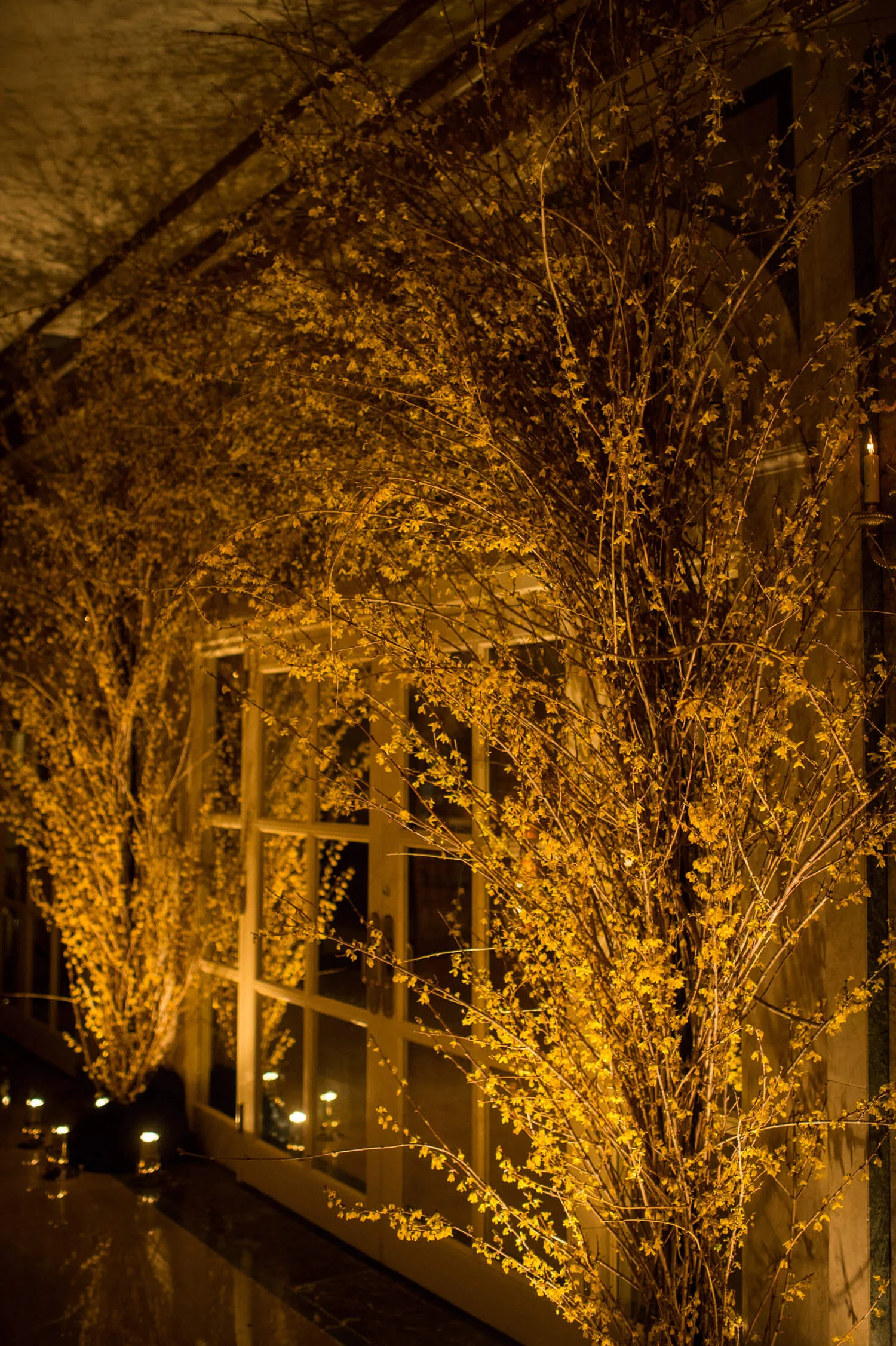 plaza-gala-1.jpg
