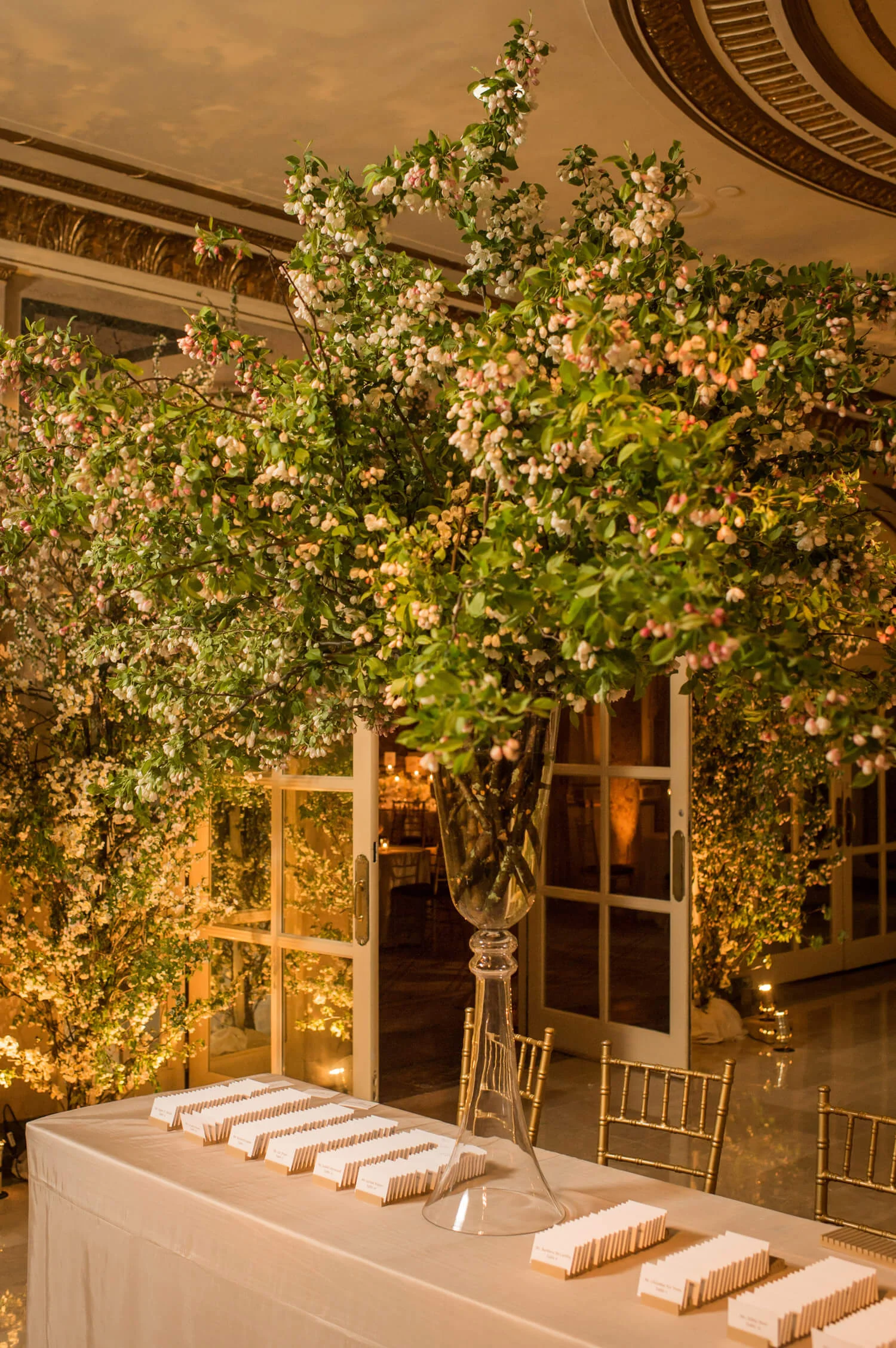 the-plaza-gala-2.jpg