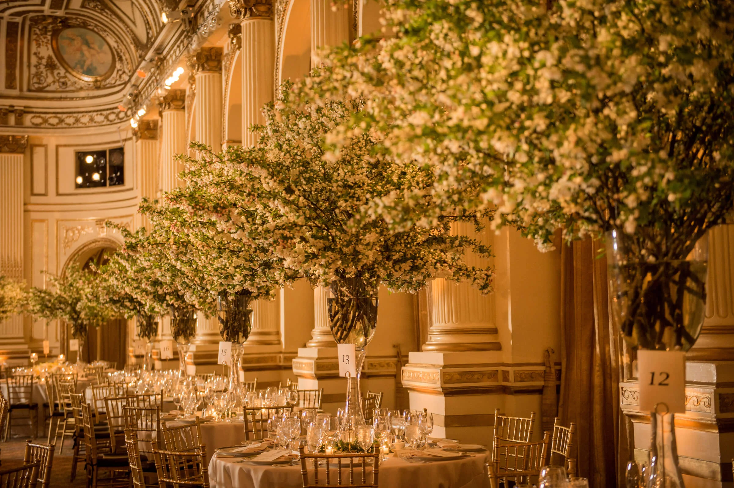 the-plaza-gala-5.jpg