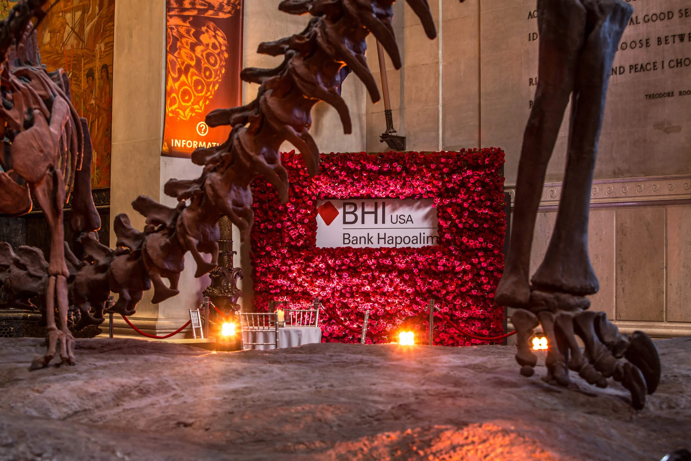 AMNH-Corporate-1.jpg