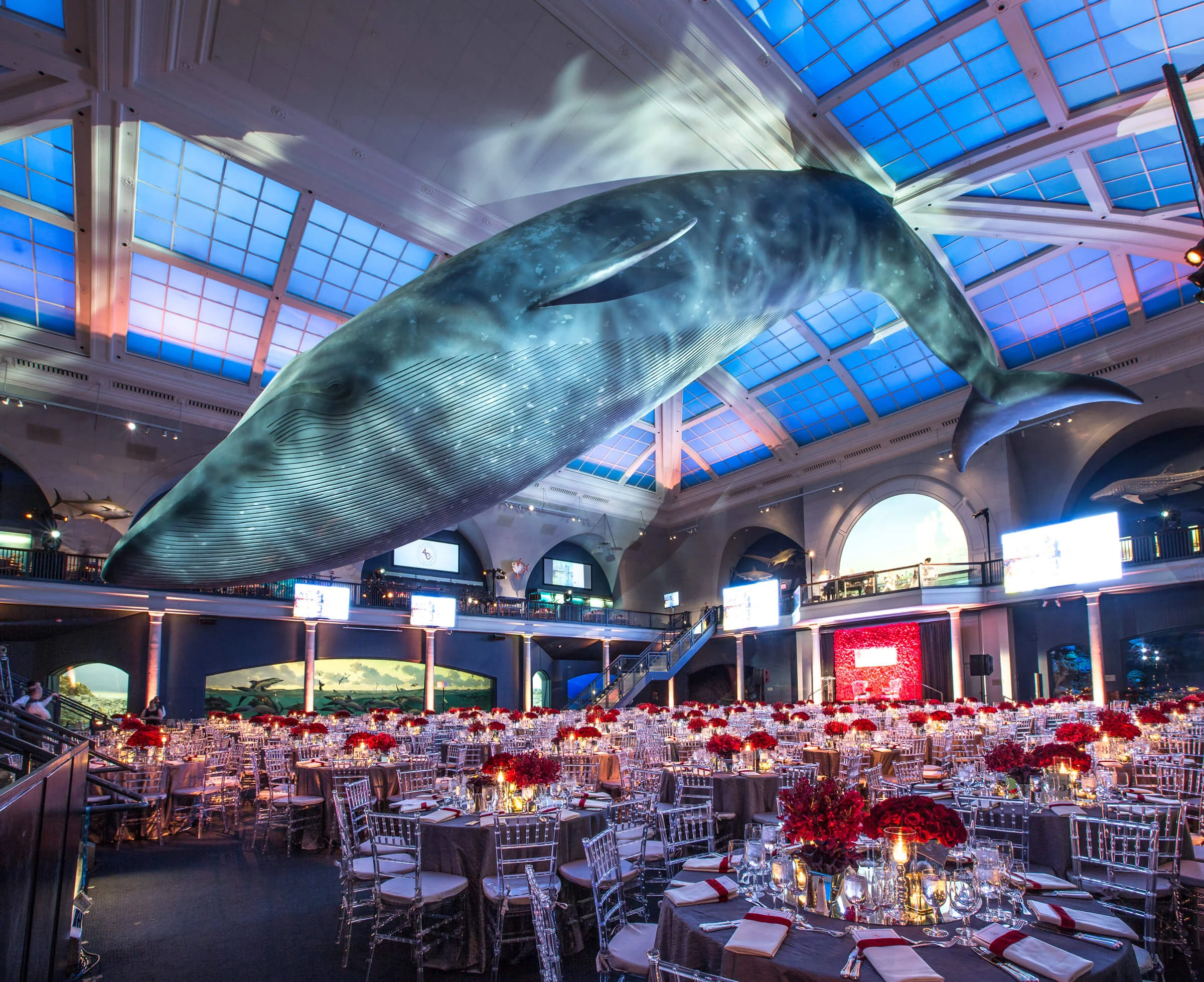 AMNH-Corporate-3.jpg