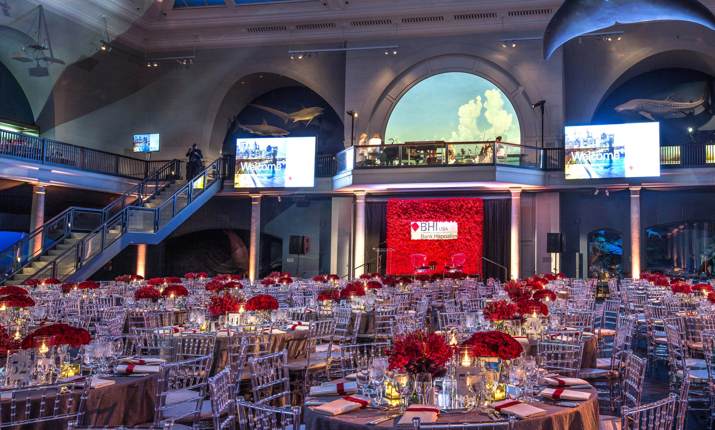 AMNH-Corporate-4.jpg