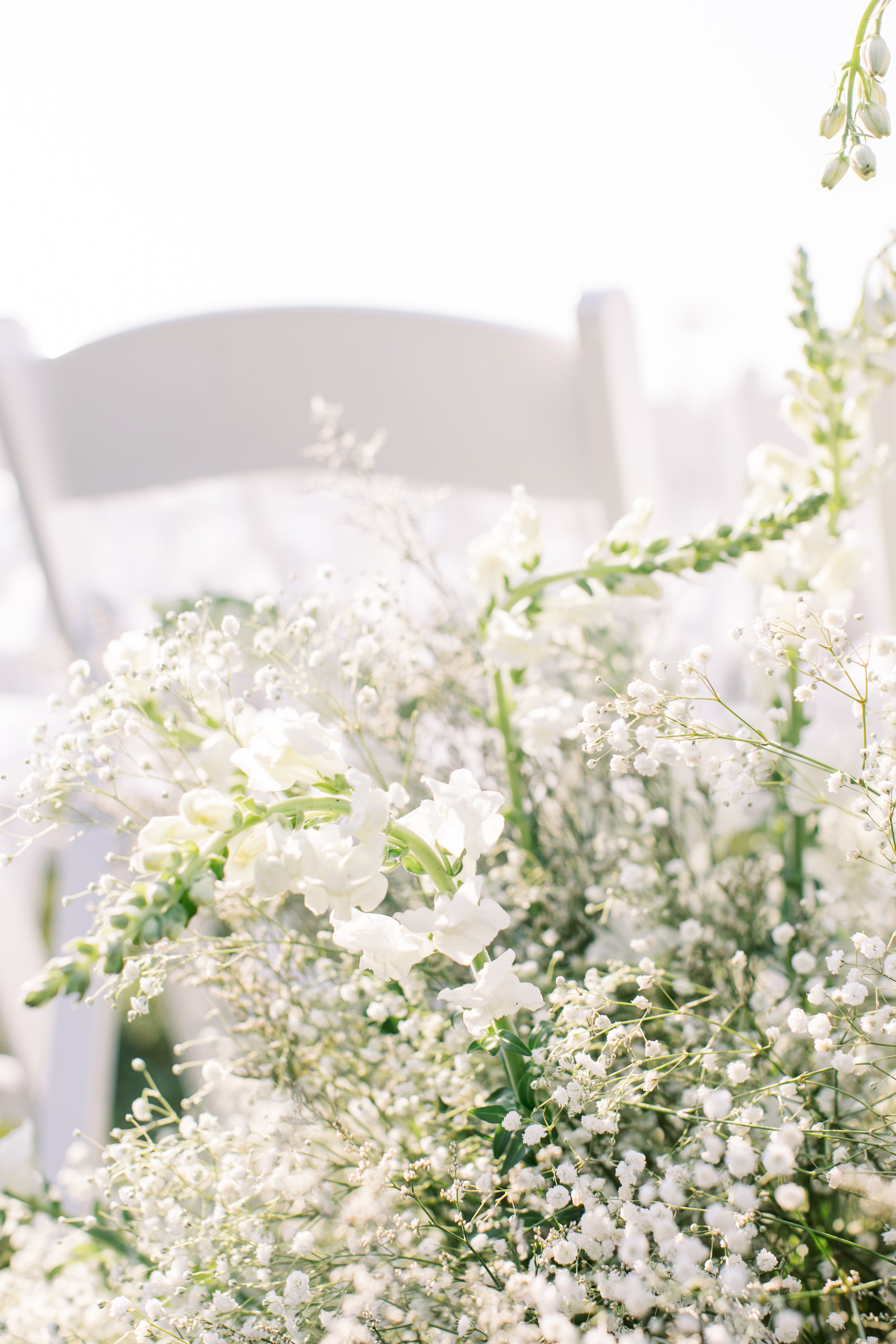 Up close image of white flowers