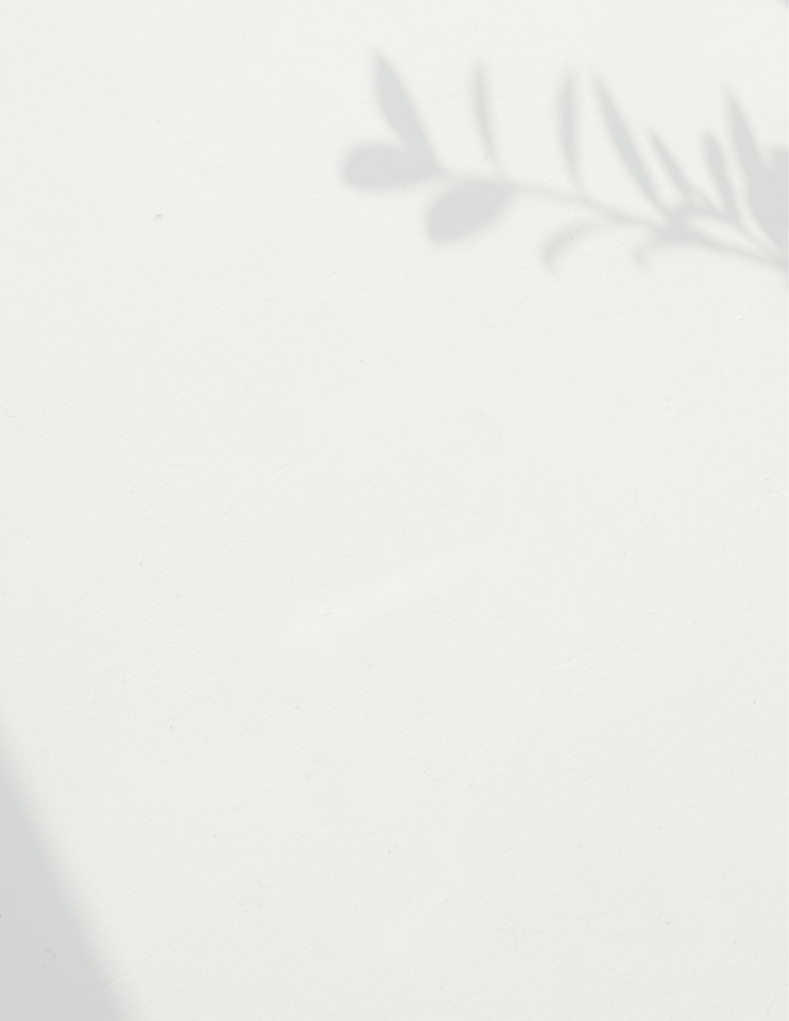 Untitled design-125.png