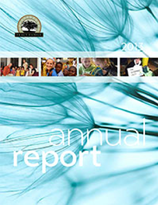 2013 Report