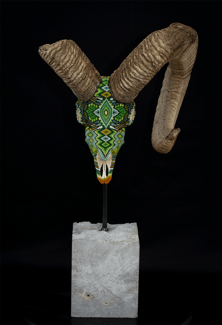 Half Horn Ram on Pietra Blue Slab